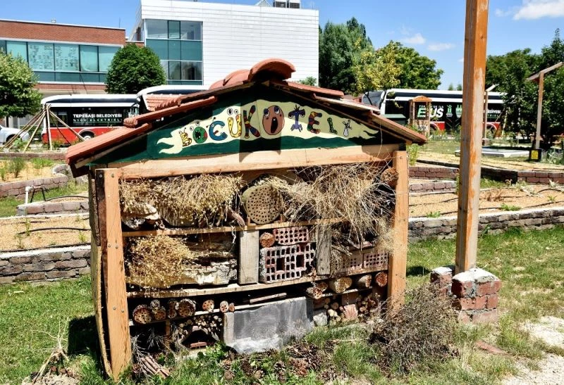 Yeryüzü Ekoloji Okulu yeni döneme hazırlanıyor
