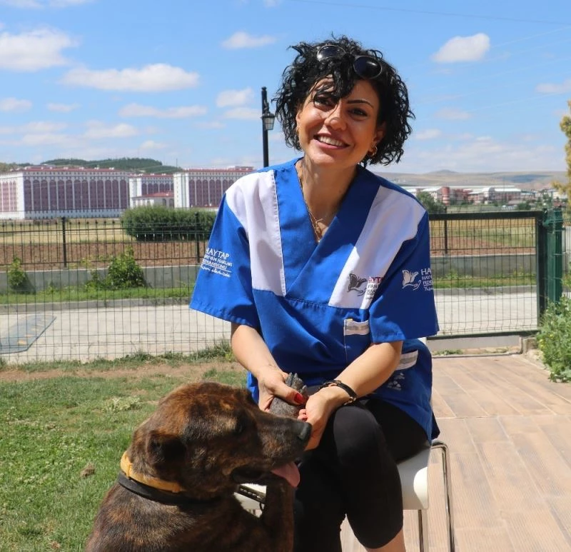 Havai fişek gösterilerinin Sivas’ta da yasaklanması için başvuruda bulunuldu
