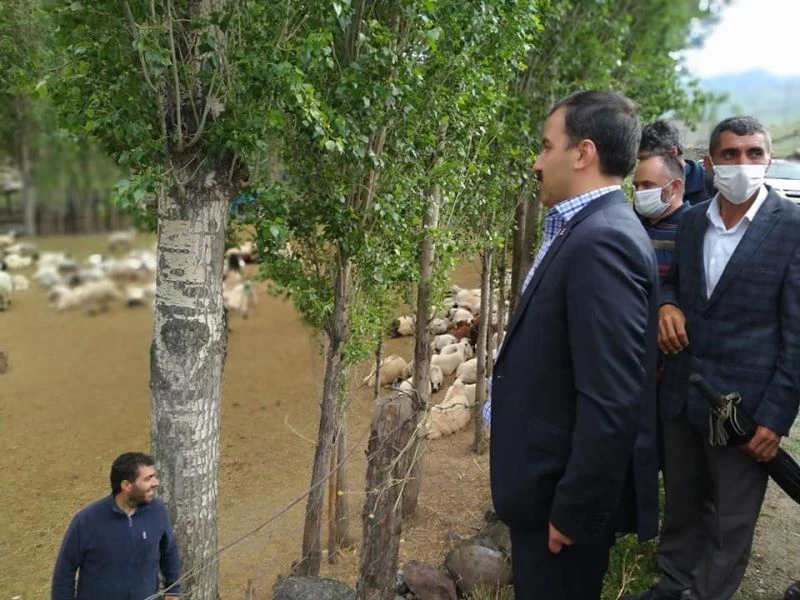 Kaymakam Koşal, selden zarar gören köylerde incelemede bulundu
