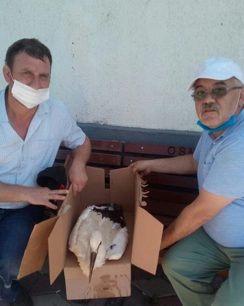 Bilecik’te yaralı leyleğe öğretmen sahip çıktı
