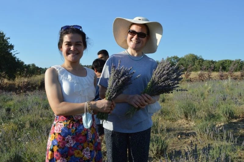 Yuntdağı’nda ilk lavanta hasadı Obasya’dan
