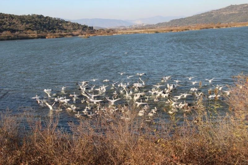Azap Gölü’nde ekoturizm faaliyetleri yaygınlaşacak
