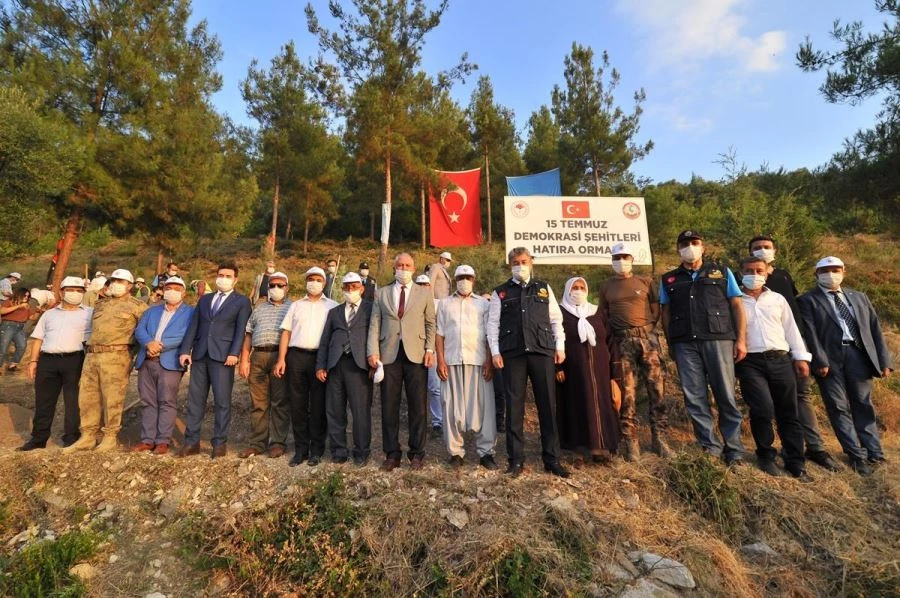 15 TEMMUZ DEMOKRASİ ŞEHİTLERİ HATIRA ORMANINA 200 YENİ FİDAN DİKİLDİ