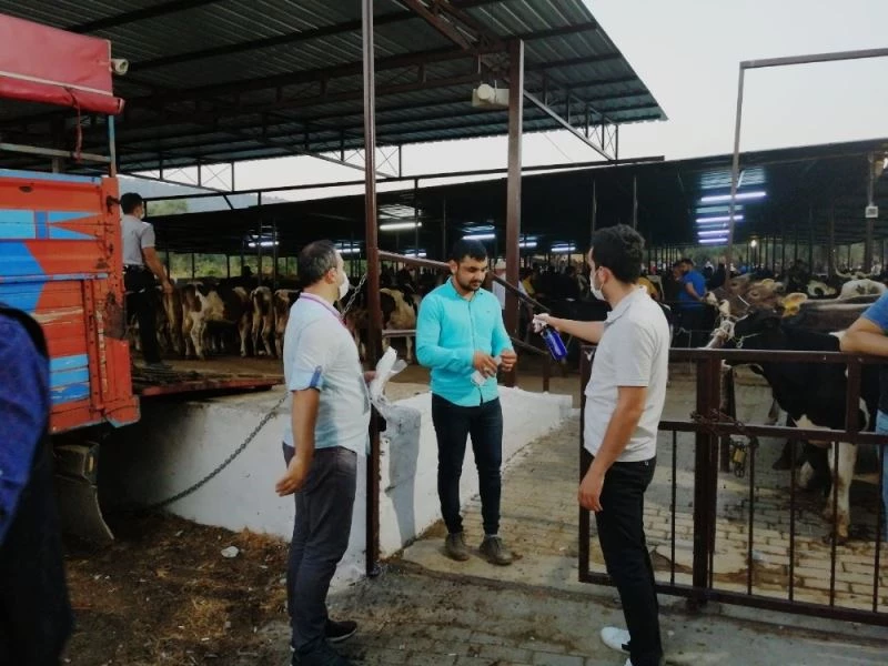Dalama Hayvan Pazarı’nda pandemi tedbirleri sürüyor
