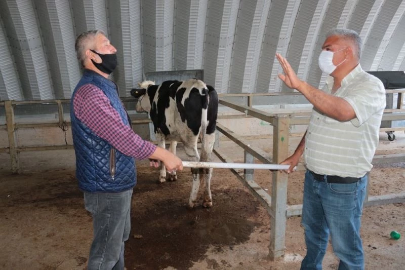 (Özel) Kıyasıya pazarlık çoban değnekleriyle yapıldı
