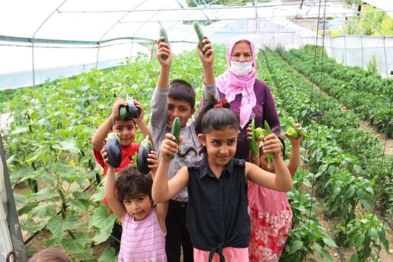 Edremit’te çiftçiye sağlanan destek meyvelerini verdi
