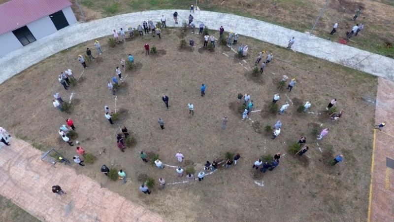 251 şehide 251 fidan
