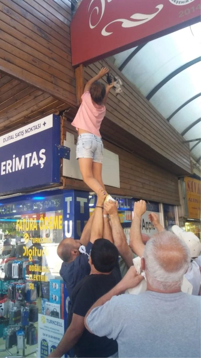 Boynuna ip dolanan kedi, boğulmaktan son anda kurtuldu
