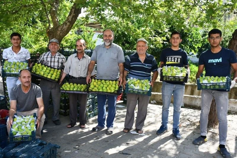 Yediveren incirinin ’Turgutlu inciri’ olarak tescillenmesini istiyorlar
