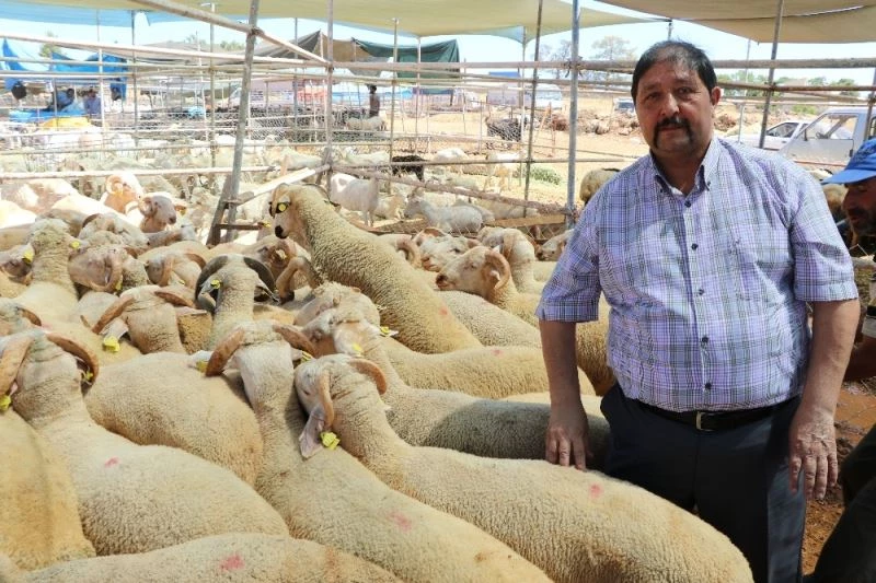 Kurbanda kesim yerlerinde randevu sistemiyle çalışılacak
