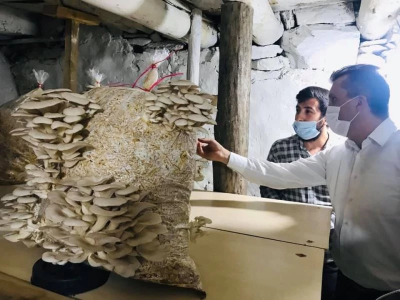 Kaymakam Solmaz mantar üreticileriyle buluştu
