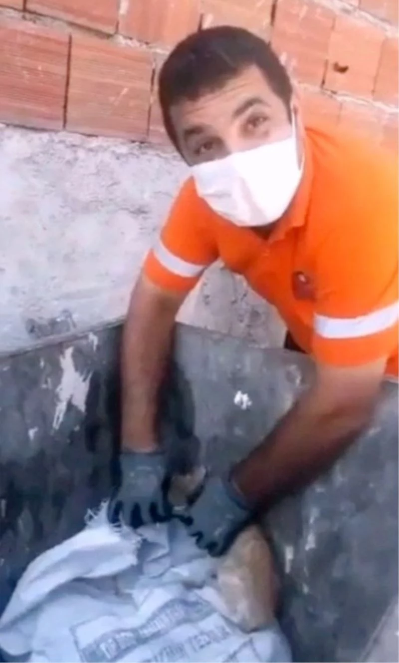 Temizlik ekipleri, ipe dolanmış yavru kediyi kurtardı
