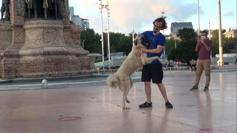 (Özel) Önce sevdi, sonra kaçtı: Taksim’de vatandaşın köpekle imtihanı
