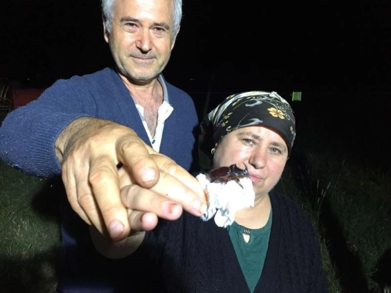 Gergedan böceklerine dondurma ikram ettiler, öz çekim yaptılar
