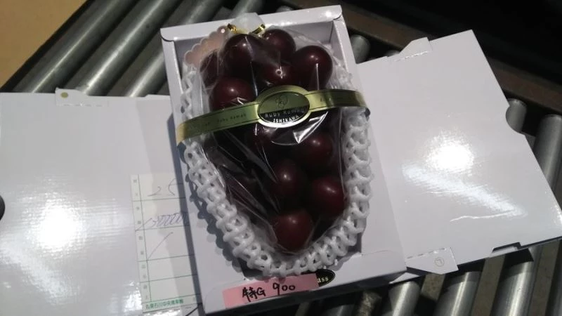 Japonya’da bir salkım üzüme rekor fiyat
