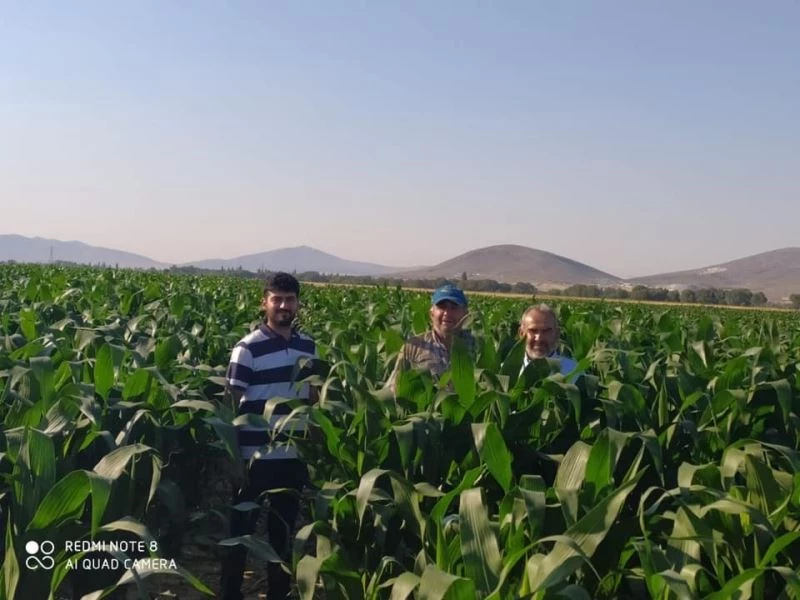 Başkan Hikmet Koyak: 