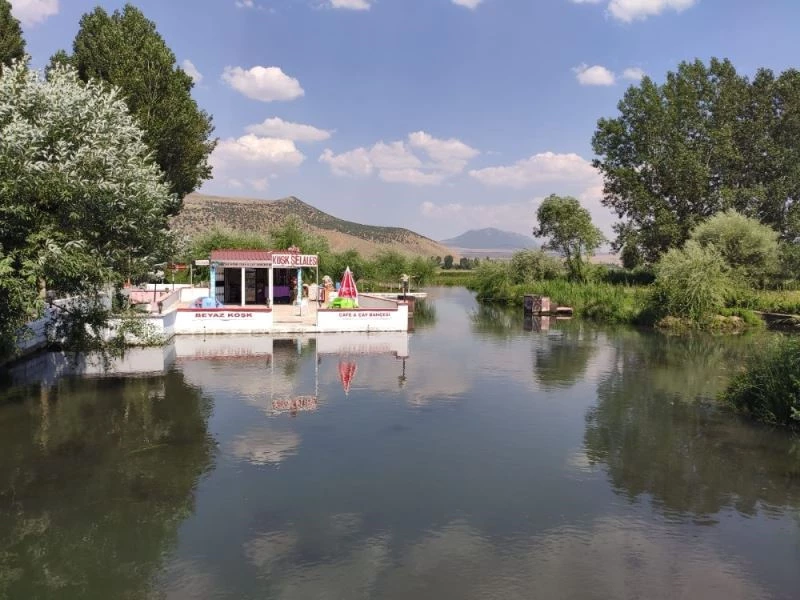 Hayalini gerçekleştirip köyüne doğal yaşam alanı kazandırdı
