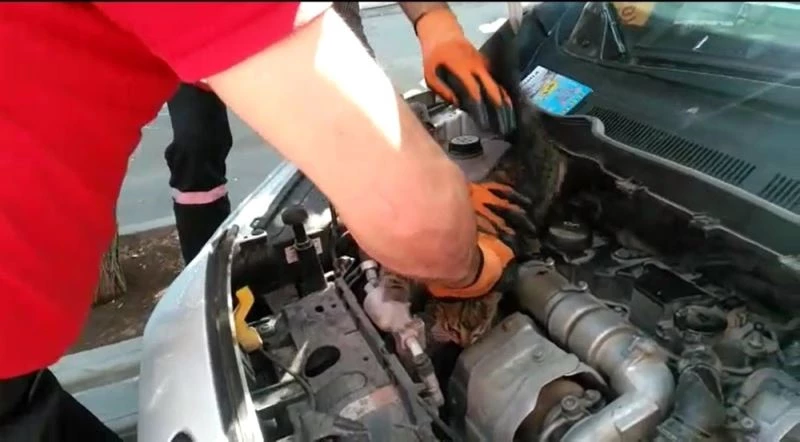 Otomobilin motorunda sıkışan yavru kedi kurtarıldı

