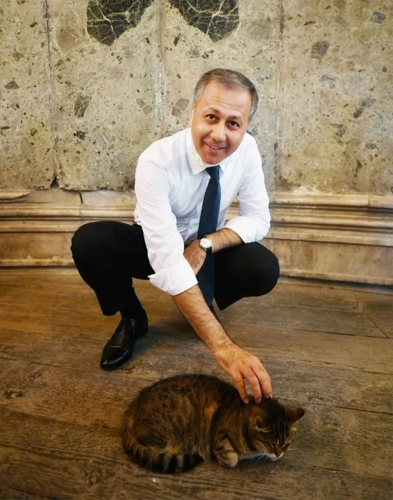 Vali Yerlikaya Ayasofya’nın meşhur kedisiyle ilgilendi
