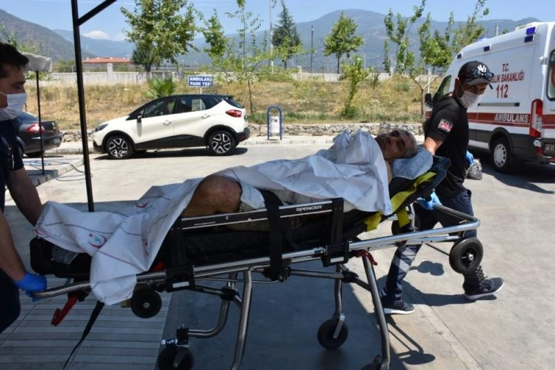 Elektrik sayacı okuyan görevliye pitbull saldırısı iddiası
