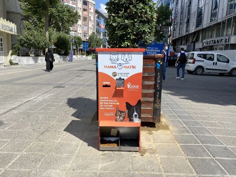 Esenler’de sokak hayvanları mamamatik ile besleniyor
