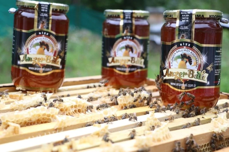 Anzer balı fiyatında bu yıl artış yok
