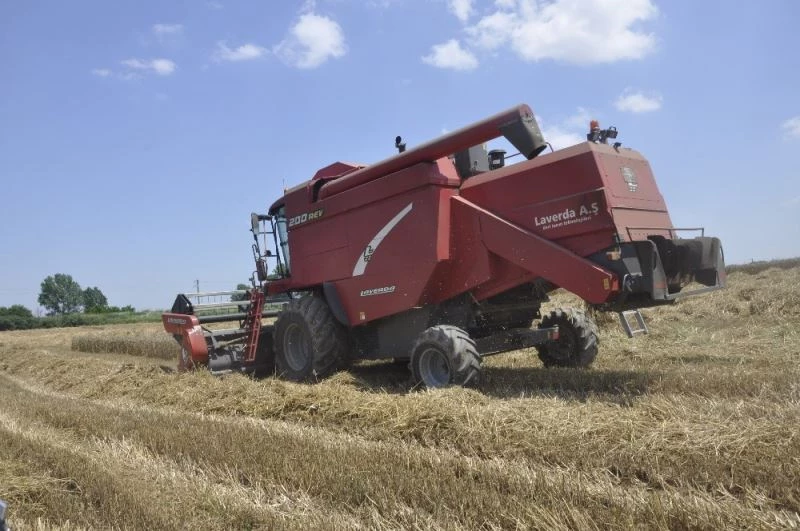 Trakya’da hasat vakti: Biçerdöverler tarlalara girdi
