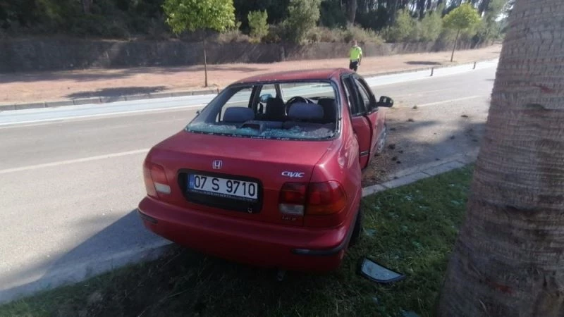 Otomobil palmiyeye çarptı: 3 yaralı
