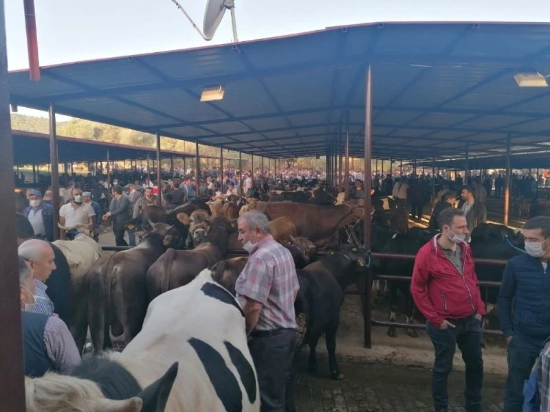 Aylar sonra açılan hayvan pazarlarında iğne atsan yere düşmez görüntüler oluştu
