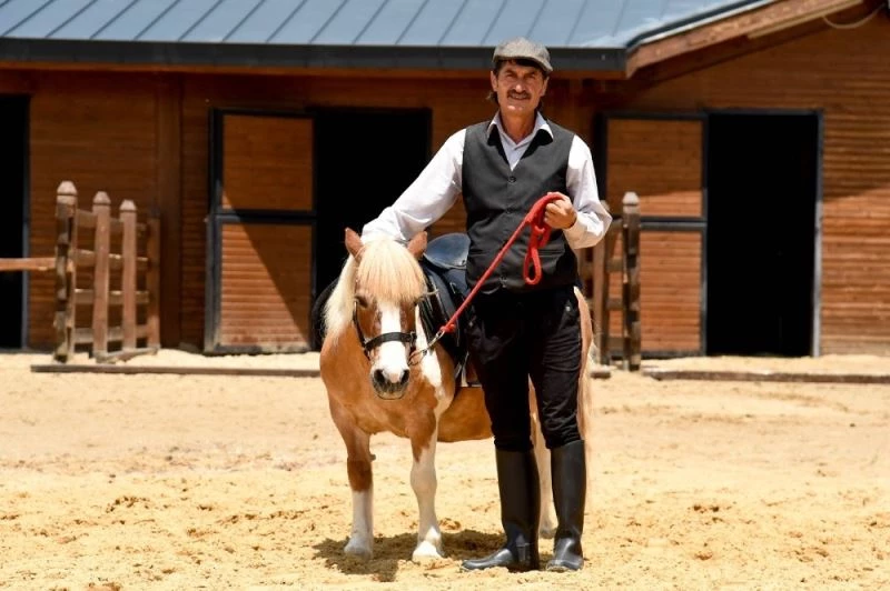 Altınköy’e at çiftliği
