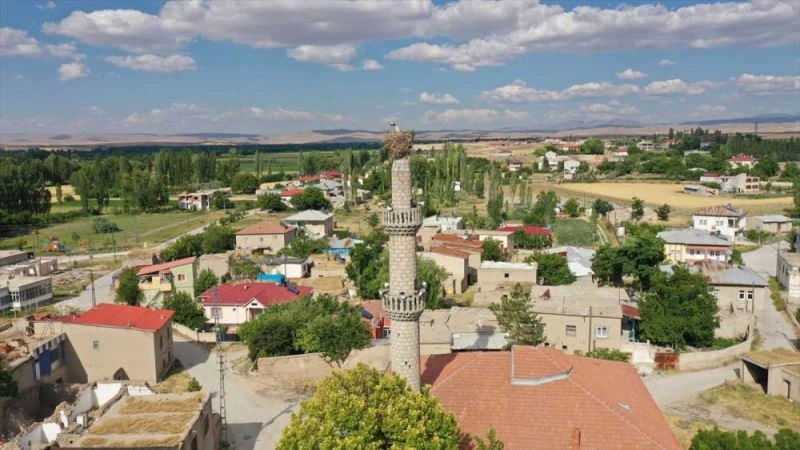 Misafir ettikleri leyleklerin rahatı için her şeyi düşünüyorlar