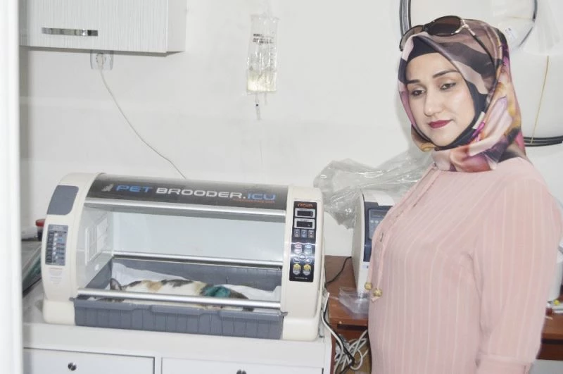 Tavşanlı’da ilk kez sokak kedisinin ayağına operasyonla plak takıldı
