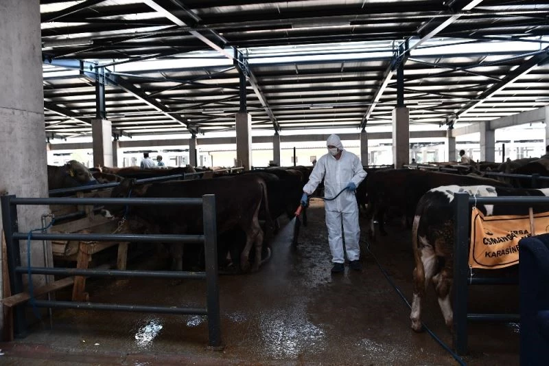 Kurban satış yerleri sinek ve mikroplara karşı ilaçlandı
