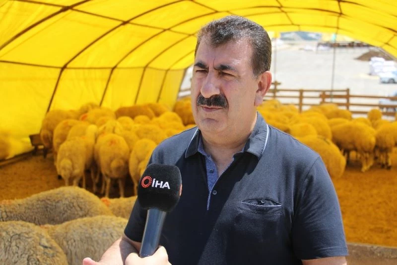 TÜDKİYEB Genel Başkanı Çelik: “Şuan da stoklarımızda 5 milyon küçükbaş hayvan müşterisini bekliyor”
