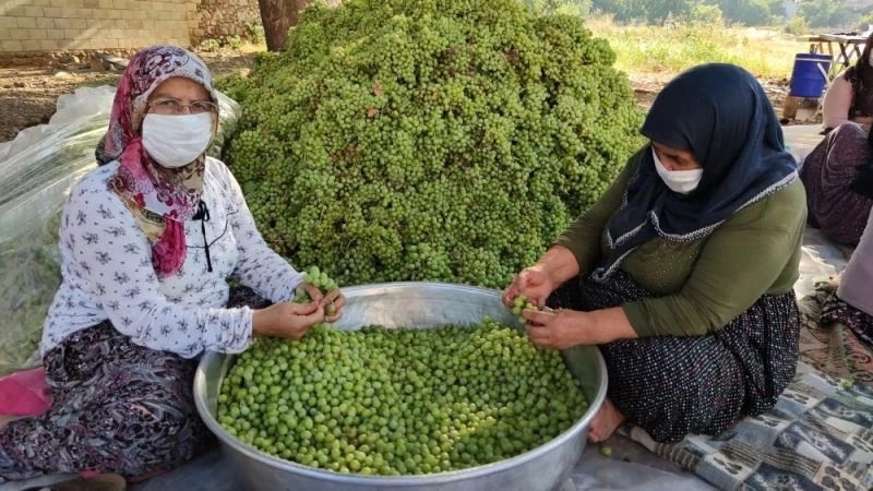 Gaziantep’te bir ilk ’koruk ekşisi’
