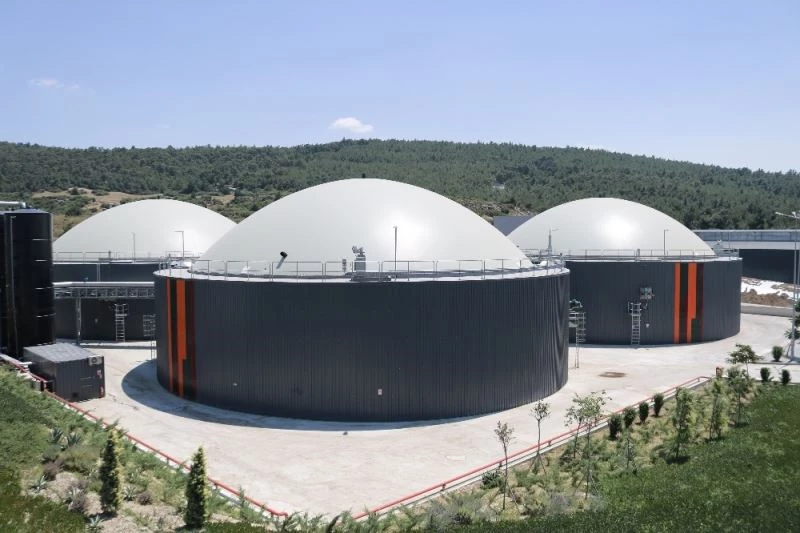 Hayvan dışkıları elektrik ve organik gübreye dönüşüyor
