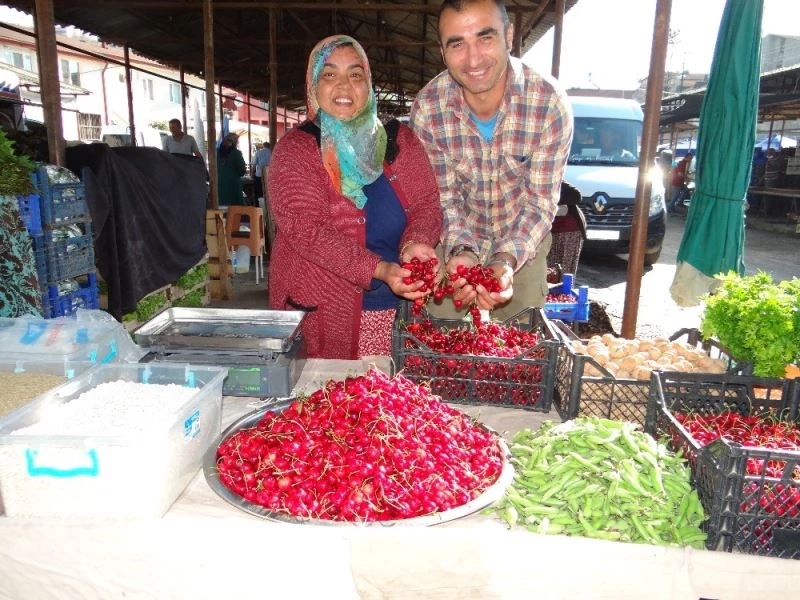 Bilecik’te bu yıl 3 bin ton ’napolyon’ cinsi kiraz toplandı
