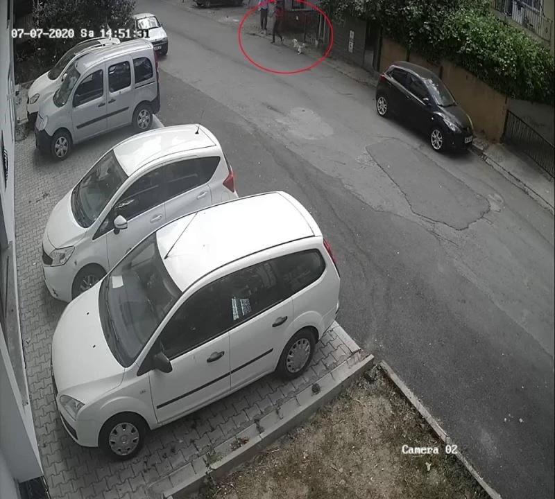 (Özel) Maltepe’de evin bahçesindeki köpeklerin çalındığı anlar kamerada
