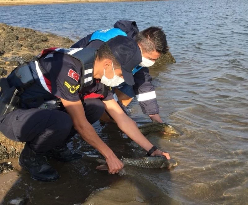 Suda yasak avcılığa geçit yok
