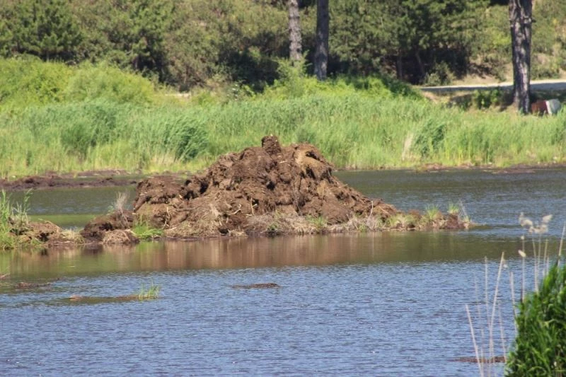 Buldan Yayla Gölü’nde torf madeni çıkarılmaya devam ediyor
