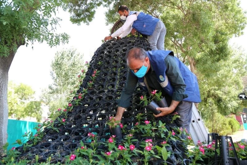 Haliliye parklarıyla da göz dolduruyor
