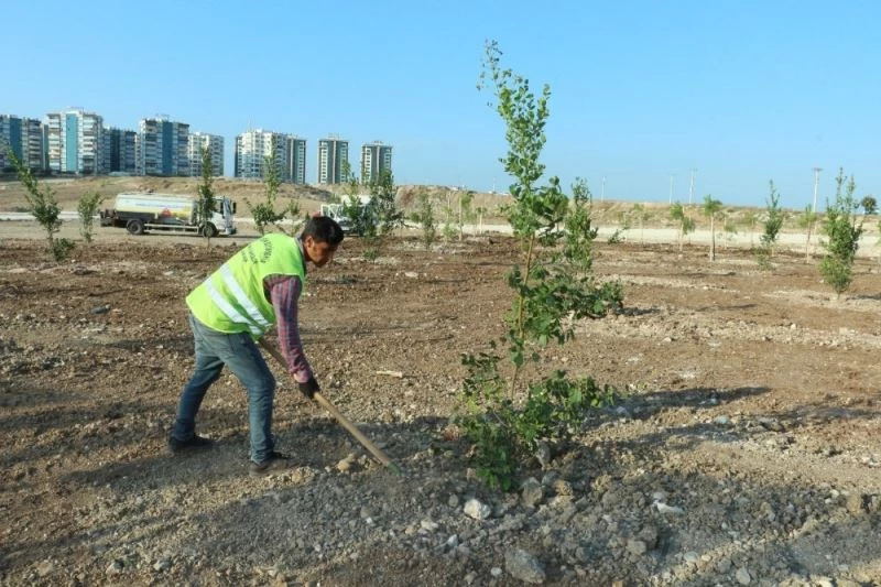 Kurtuluş ve Kuruluş Koruluğu bakımdan geçirildi
