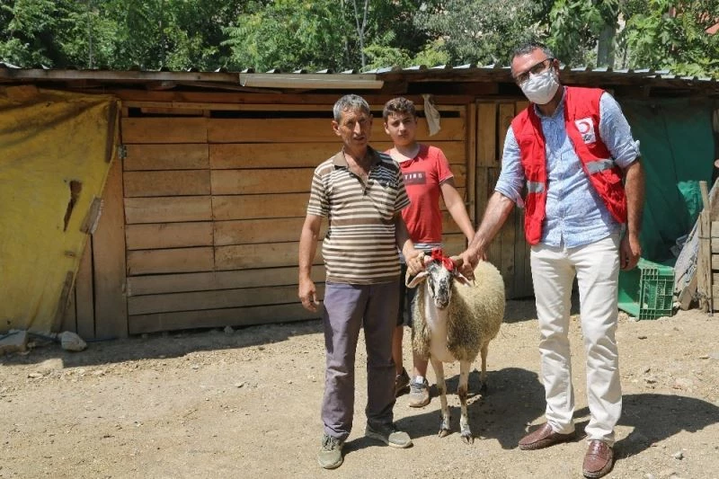 Kızılay’ın çalışmasını görünce koyununu bağışladı
