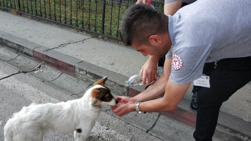 Güvenlik görevlisi susuz kalan sokak köpeğine eliyle su içirdi
