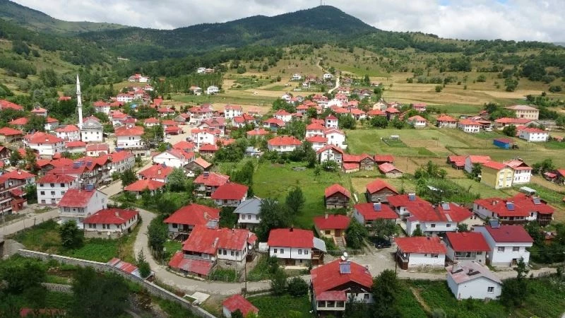 Karadeniz’in doğa ve mimarisini koruyan mahalle: Yeşilce
