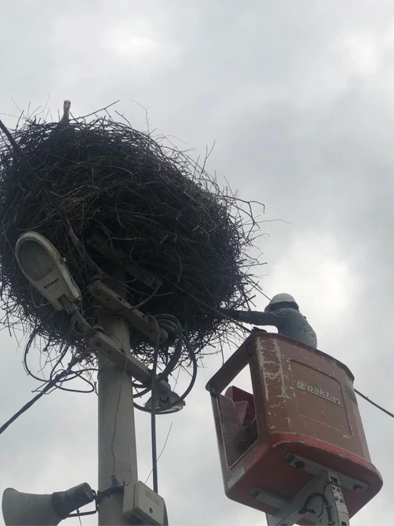 Yuvasından düşen serçe yavrusu vinçle yerine konuldu
