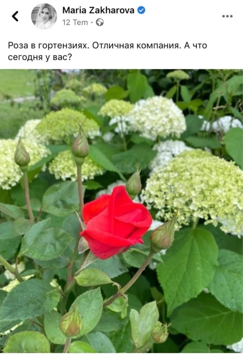 Türk takipçisi, Zaharova’yı dağ lalesine benzetti
