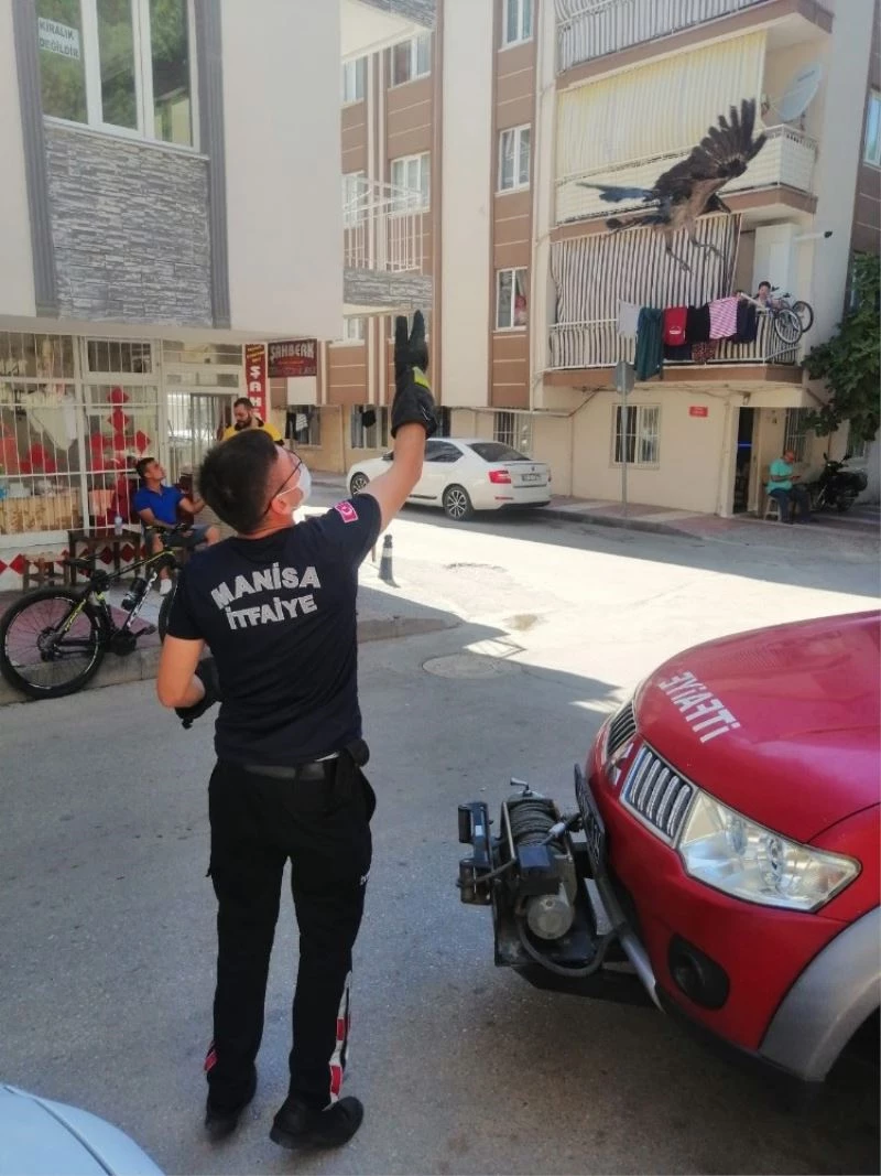 Evdeki davetsiz misafiri Manisa itfaiyesi özgürlüğüne kavuştu
