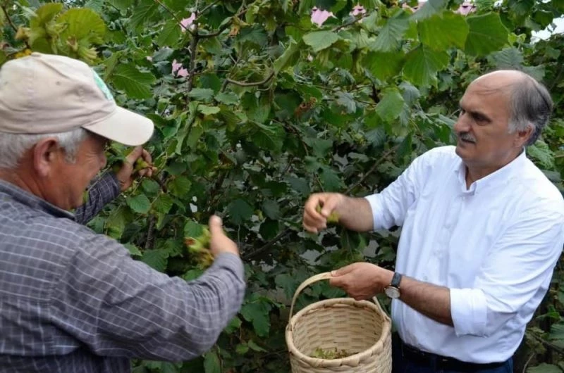 AK Parti Giresun Milletvekili Cemal Öztürk: 