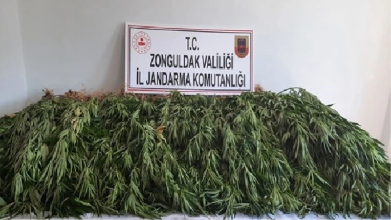 İki işçinin ölü bulunduğu soruşturmada uyuşturucu ele geçirildi
